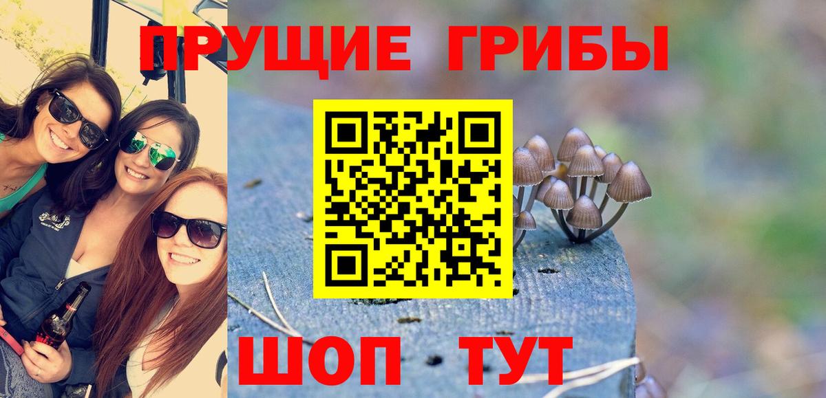 Дедовск  Галлюциногенные грибы мухоморы  Вход с VPN 