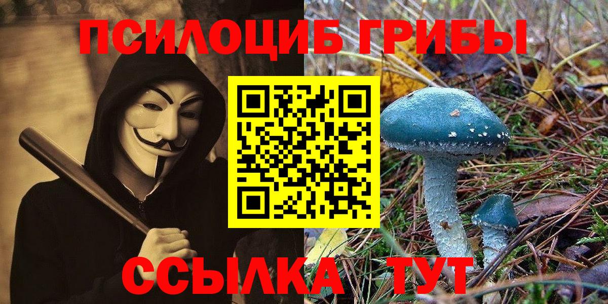Псилоцибиновые грибы Psilocybe Дедовск